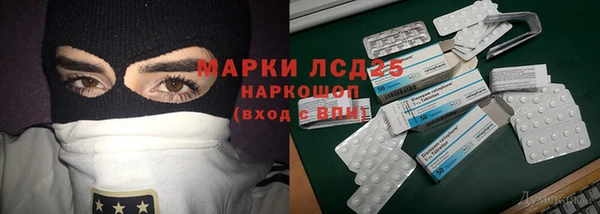 стаф Балахна