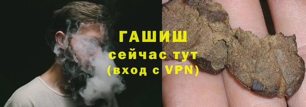 PSILOCYBIN Белокуриха
