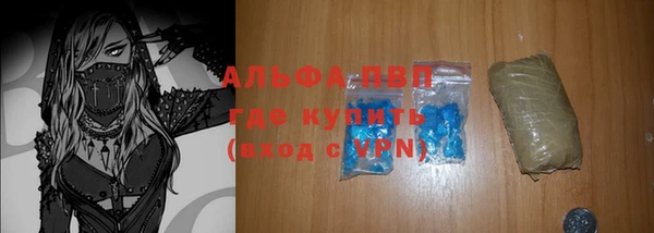 шишки Белоозёрский
