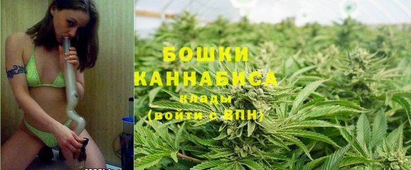 PSILOCYBIN Белокуриха