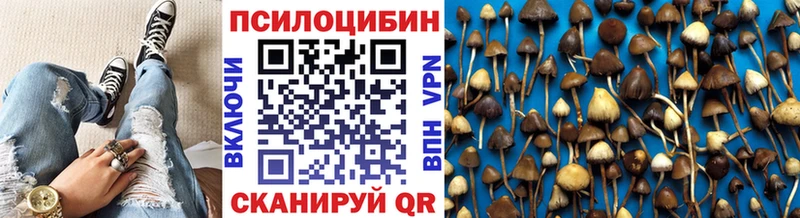 Псилоцибиновые грибы мицелий  Малмыж 